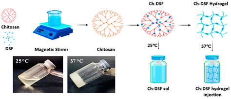 autoclave chitosan discoloration|chitosan hydrogel.